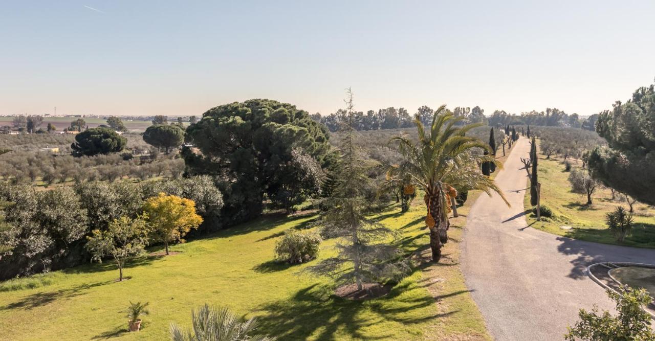 Hacienda Las Tres Ninas Puebla del Río Extérieur photo
